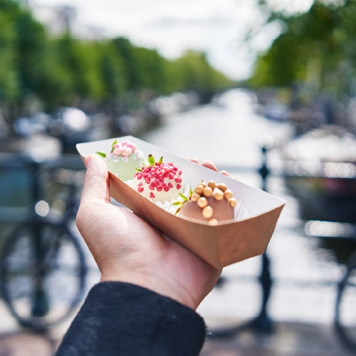 Havelaar Amsterdamse roots